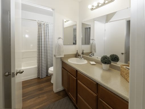 Luxurious Bathrooms at Eucalyptus Grove Apartments, Chula Vista